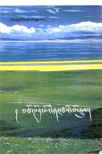 Cover of Mtsho-sṅon-poʼi Rkaṅ-tshaʼi lo rgyus mes poʼi źal luṅ by Rgya-po