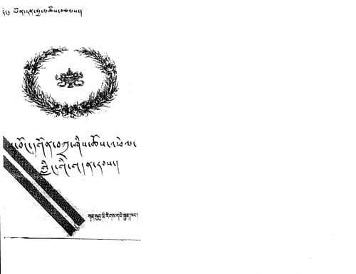 Cover of Rwa-boṅ dgon bkra ʼsis chos ʼphel rluṅ [gliṅ] gi gdan rabs mdo tsam brjod pa bśad sgrub bstan paʼi mdzes rgyan / Ldoṅ Yon-tan-rgya-mtshos brtsams by Yon-tan-rgya-mtsho Ldoṅ