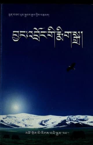 Cover of Byaṅ ʼbroṅ gi rmig sgra by Yum-skyabs-rgyal Sñan-bzaṅ
