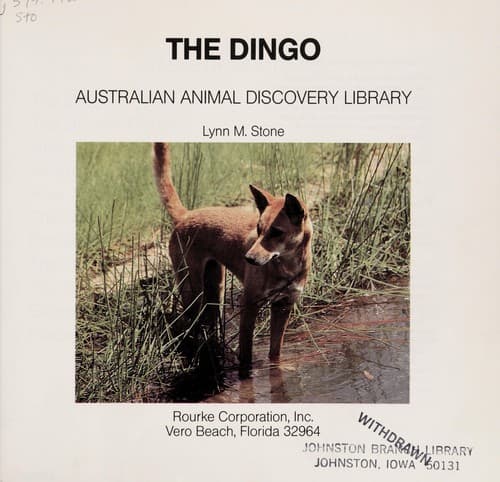 Cover of Dingoes by Lynn M. Stone