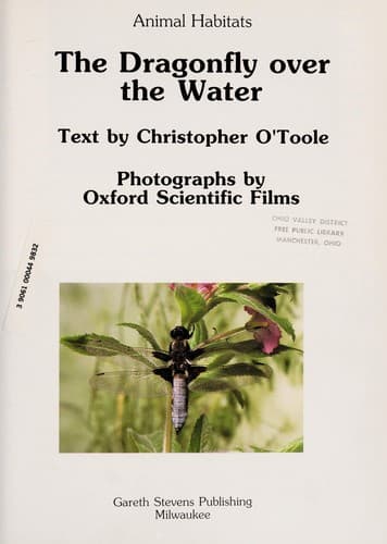 Cover of The dragonfly over the water by Christopher O'Toole