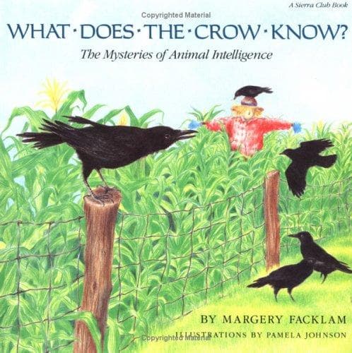Cover of What does the crow know? by Margery Facklam