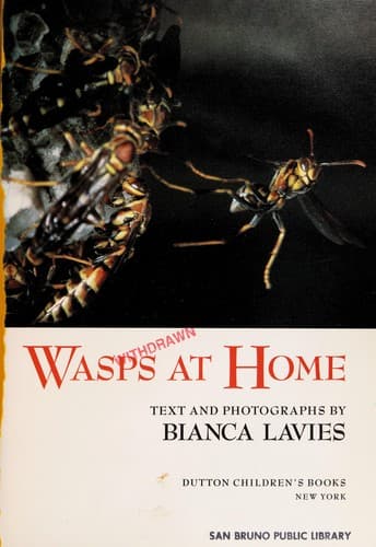 Cover of Wasps at home by Bianca Lavies
