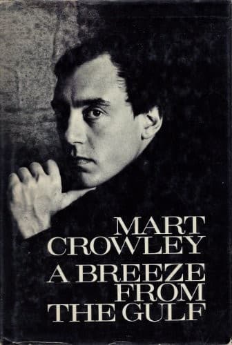 Cover of A breeze from the gulf by Mart Crowley