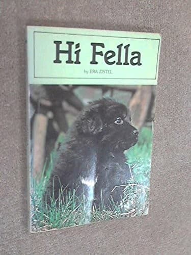 Cover of Hi fella by Era Zistel