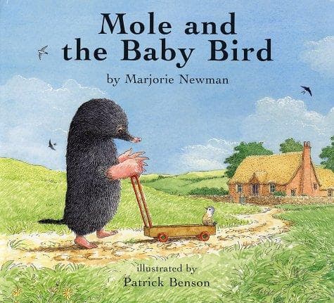 Cover of Mole and the baby bird by Marjorie Newman