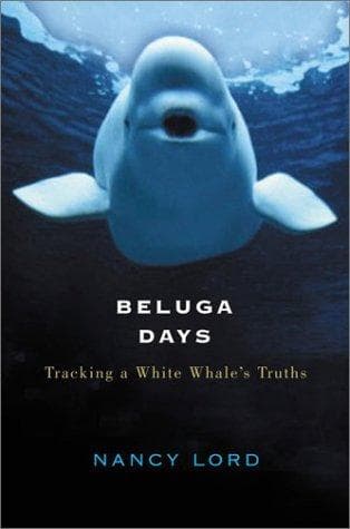 Cover of Beluga Days by Nancy Lord
