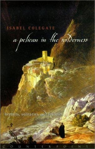 Cover of A pelican in the wilderness by Isabel Colegate
