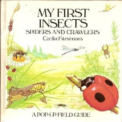 Cover of My first insects by Cecilia Fitzsimons