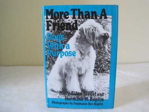Cover of More than a friend by Mary-Ellen Siegel