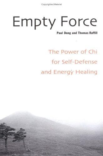 Cover of Empty force by Paul Dong