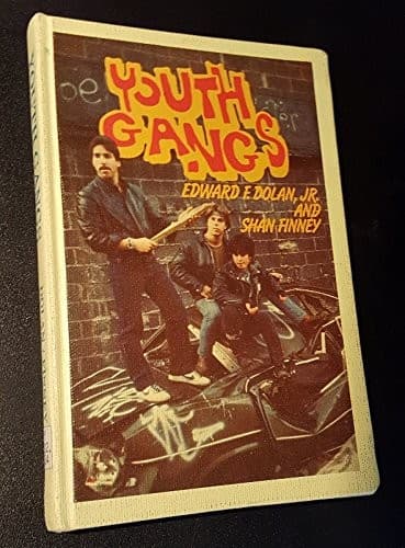 Cover of Youth gangs by Edward F. Dolan