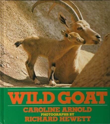 Cover of Wild goat by Caroline Arnold