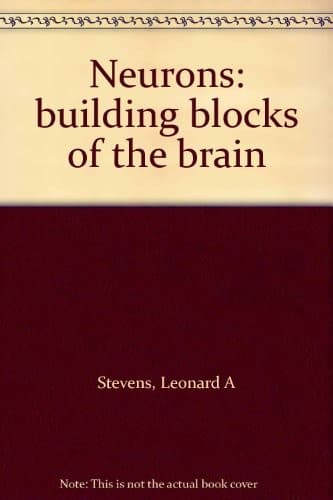 Cover of Neurons: building blocks of the brain by Leonard A. Stevens undifferentiated