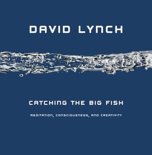 Cover of Catching the Big Fish by David Lynch