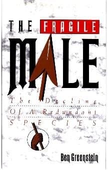 Cover of The fragile male by Ben Greenstein