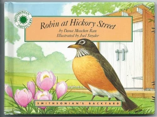 Cover of Robin at Hickory Street by Dana Meachen Rau