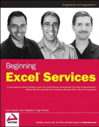 Cover of Beginning Excel services by Liviu Asnash