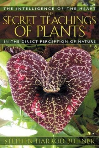 Cover of The Secret Teachings of Plants by Stephen Harrod Buhner