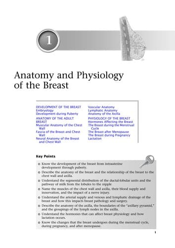 Cover of Essentials of breast surgery by Michael S. Sabel