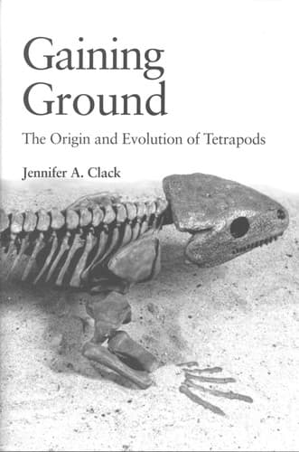 Cover of Gaining ground by Jennifer A. Clack