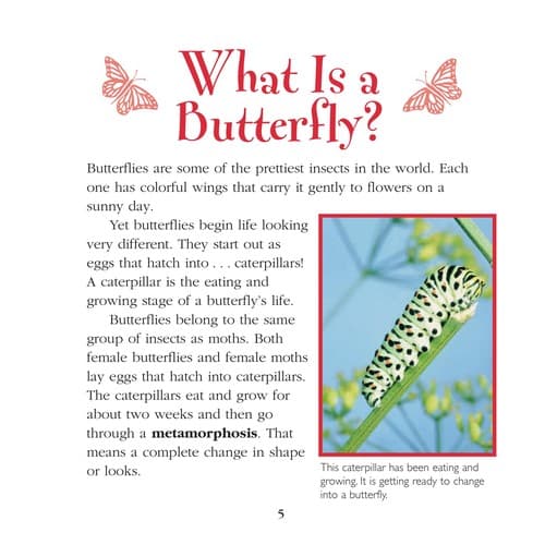 Cover of How do caterpillars become butterflies? by Darice Bailer