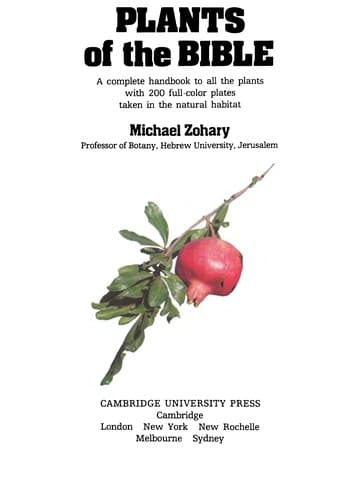 Cover of Plants of the Bible by Michael Zorahy