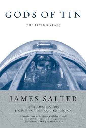 Cover of Gods of Tin by James Salter