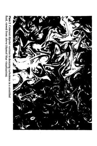 Cover of Vortex structures in a stratified fluid by Sergeĭ I. Voropaev