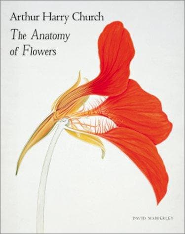 Cover of Arthur Harry Church by D. J. Mabberley