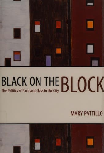 Cover of Black on the block by Mary E. Pattillo