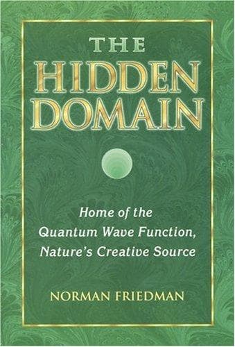 Cover of The hidden domain by Norman Friedman