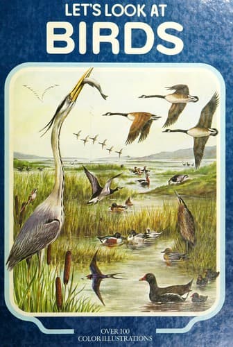 Cover of Let's look at birds by Neil Ardley