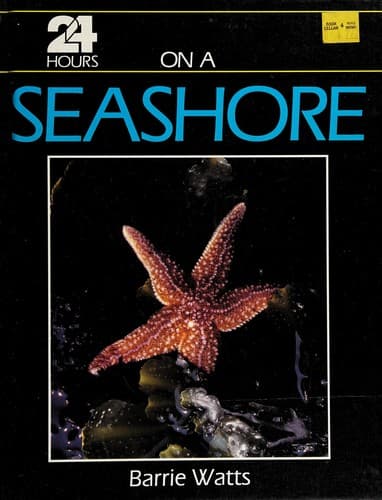 Cover of 24 Hours On A Seashore by Barrie Watts