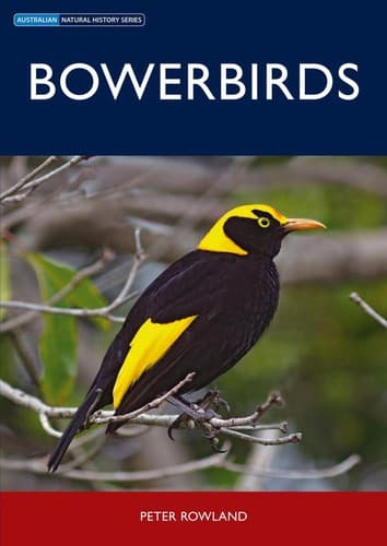 Cover of Bowerbirds by Peter Rowland