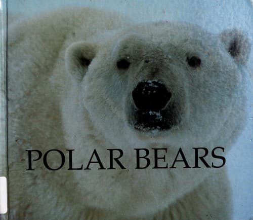 Cover of Polar bears by Jenny Markert