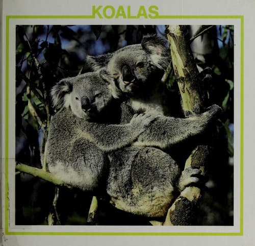 Cover of Koalas by Lynn M. Stone