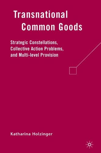 Cover of Transnational common goods by Katharina Holozinger