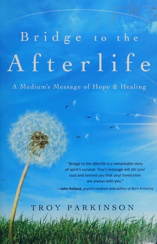 Cover of Bridge to the afterlife by Troy Parkinson