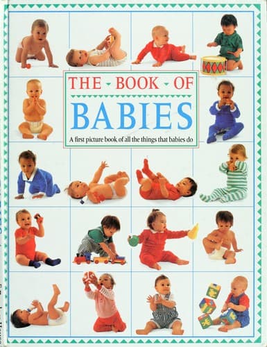 Cover of The book of babies by Jo Foord