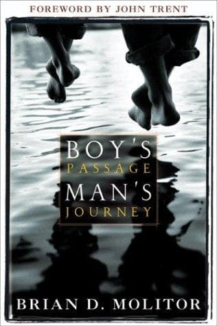 Cover of Boy's Passage, Man's Journey by Brian D. Molitor