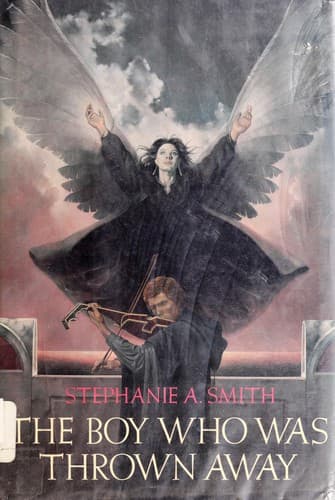 Cover of The boy who was thrown away by Stephanie A. Smith