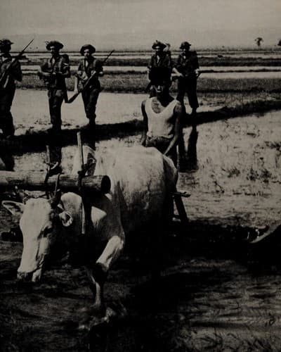 Cover of China - Burma - India (Time-Life's World War II, Vol. 9) by Don Moser