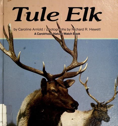 Cover of Tule elk by Caroline Arnold