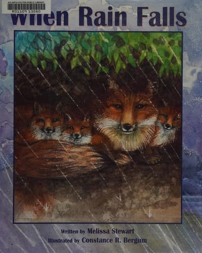 Cover of When rain falls by Melissa Stewart