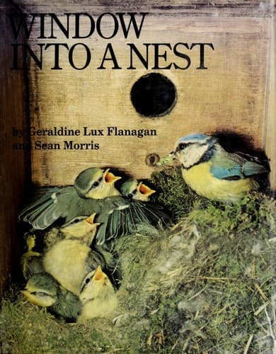 Cover of Window into a nest by Geraldine Lux Flanagan