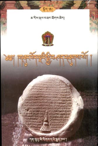 Cover of Gźuṅ bkaʼ pod chen po lṅaʼi spyi bśad dmus loṅ ʼkhrid paʼi dmigs bu źes bya ba bźugs so by Skal-bzaṅ-thogs-med Cha-ris