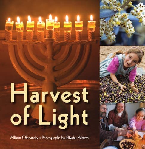 Cover of Harvest of light by Allison Ofanansky