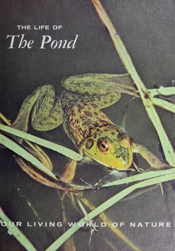 Cover of The life of the pond by William Hopkins Amos