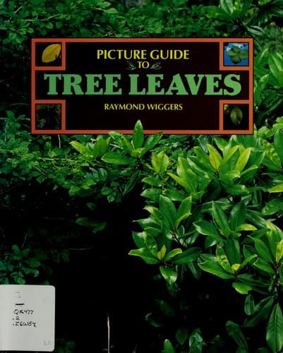 Cover of Picture guide to tree leaves by Ray Wiggers